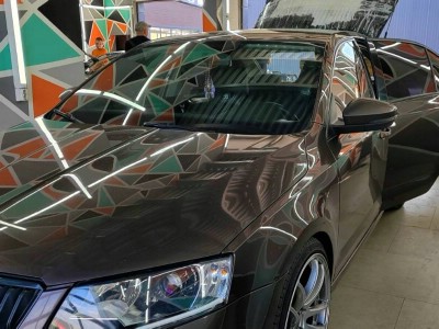 Установка заднего стекла Skoda Octavia A7 2013-2023
